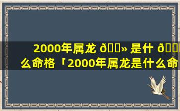 2000年属龙 🌻 是什 🐛 么命格「2000年属龙是什么命格带什么饰品好」